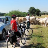 1007G 60 Ruhr Radweg